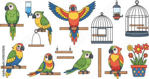 Colorful parrot cartoon vector set with cages perches tropical birds illustration collection for pet shop design and decoration