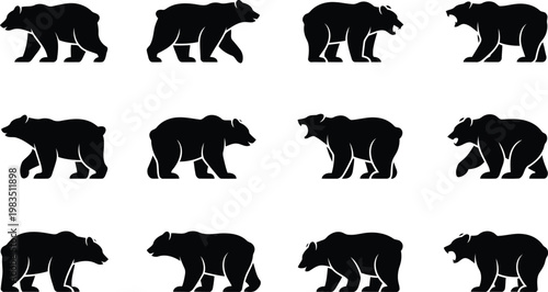 Black silhouette bear collection diverse poses and walking gaits displayed