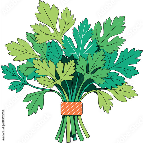 fresh green leafy herbs
