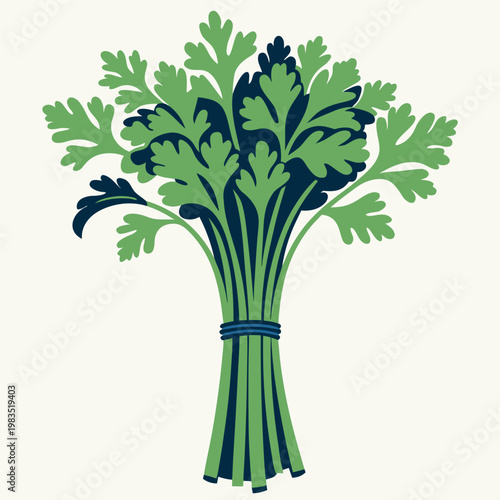 fresh green leafy herbs