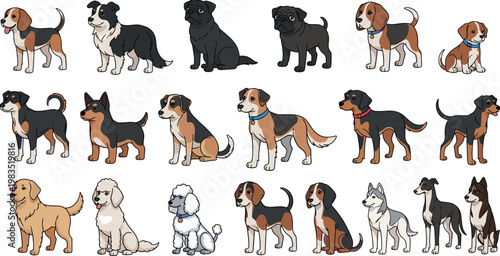 Dog breeds vector collection featuring different domestic dogs in various poses including sitting standing and walking isolated on white background