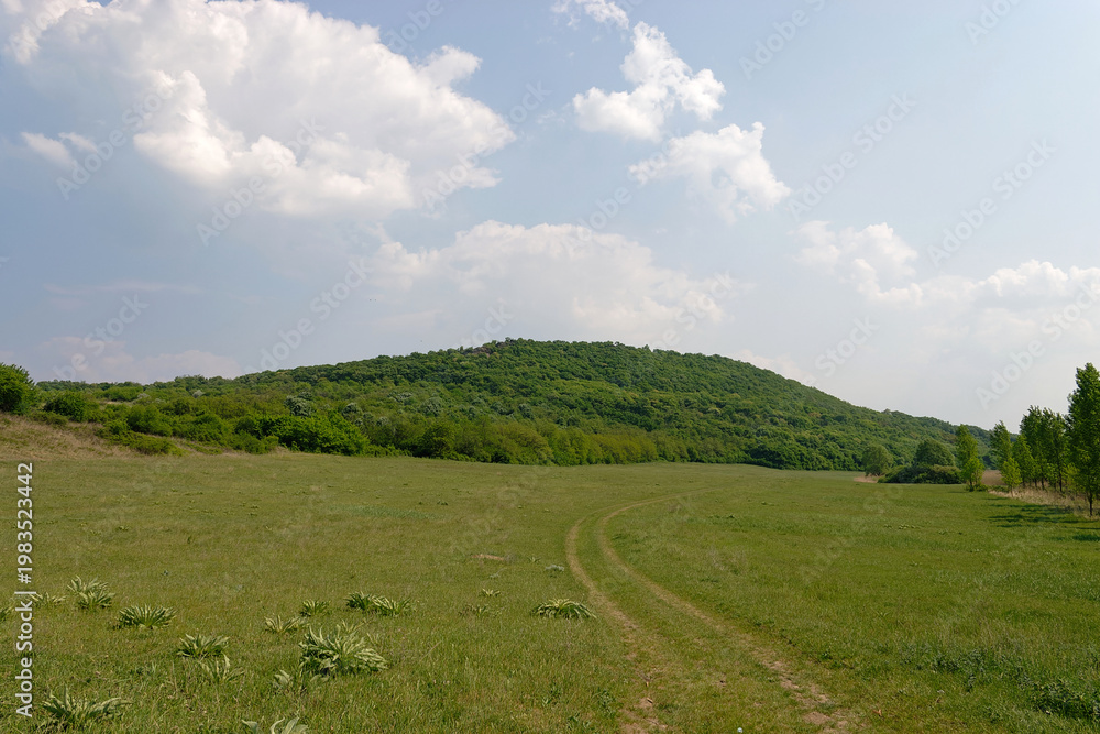Fototapeta premium Path by green hill, cloudy sky