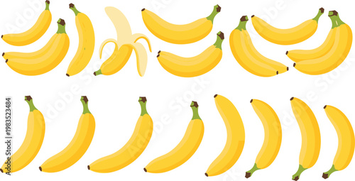 Banana Fruit Collection with Whole and Peeled Banana Variations in Flat Style for Fresh Food Design Healthy Nutrition and Tropical Illustration