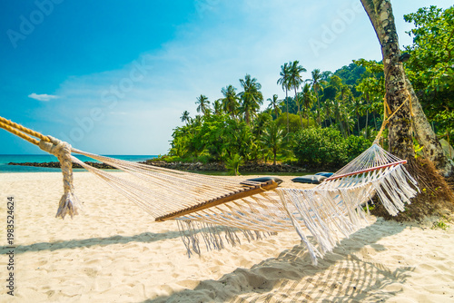 Valokuva White hammock hanging between palm trees on beautiful tropical sandy beach by bl
