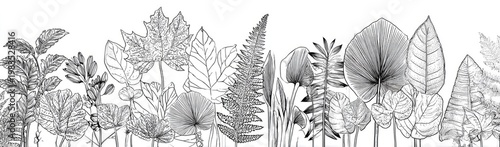 A black and white line drawing of varied foliage against a white background