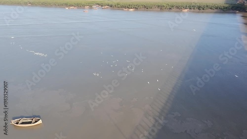Minimal aerial view of river surface with birds and soft shadow reflection in Surat Gujarat India