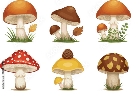 Collection of Cute Cartoon Mushrooms with Different Caps and Colors for Autumn, Nature, and Woodland Illustrations