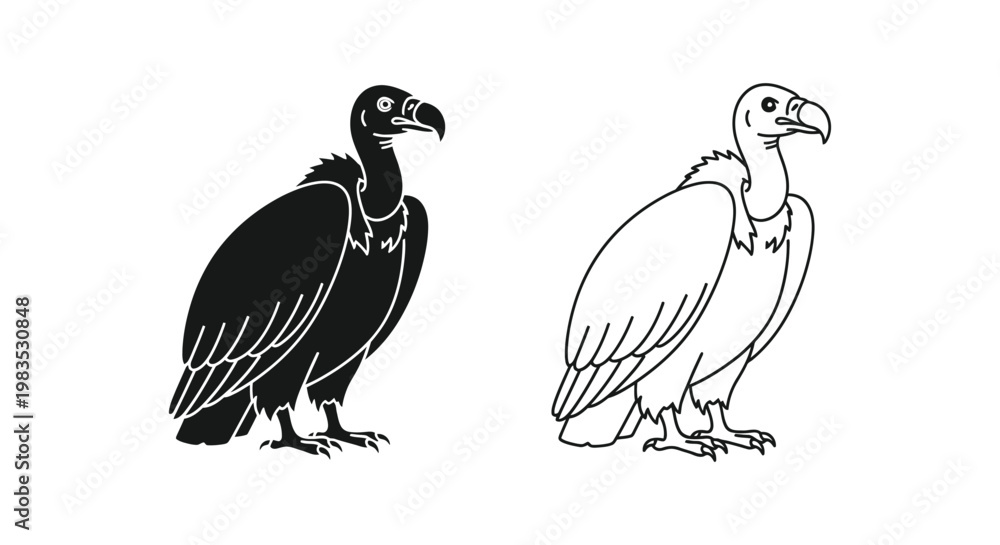 Fototapeta premium Vulture Bird Illustration: Nature’s Cleanup Crew Vector