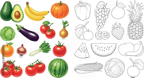 Assorted fruits and vegetables with colored and outline versions vector illustration healthy food collection organic farm produce set