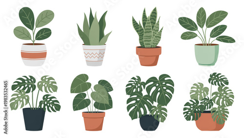 Assorted potted indoor plants arranged in a grid layout Vector