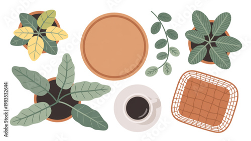 Assorted dried herbs and spices including rosemary, thyme, and dried orange slices Vector