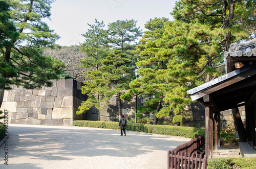 Sakuradamon Gate and palace moat in Tokyo
