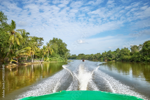 Stern view of the Brunei River with dense tropical forest, Brunei Darussalam.