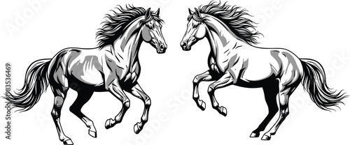 Two majestic horses with flowing manes and tails rearing up in a dynamic pose, black and white illustration.