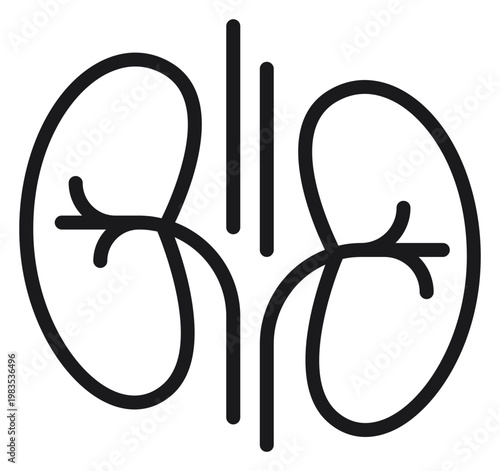 Minimalist black vector icon illustration of human kidneys and renal system, representing urology, internal organ anatomy, and healthcare, isolated on a white background for medical design.