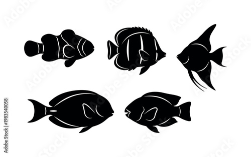 clownfish small reef fish, butterflyfish flat body fins, angelfish tall fins shape, surgeonfish oval body tail, parrotfish beak