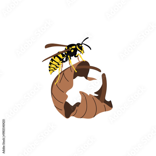 Yellowjacket Wasp Perched on Dried Autumn Leaf Vector