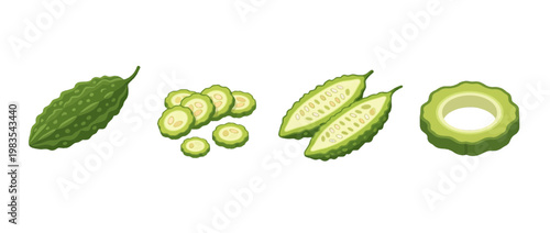 bitter melon flat color isometric vector