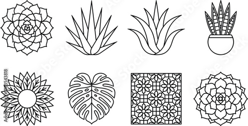 Line Art Plants and Floral Illustrations Set Featuring Succulents, Sunflowers, and Geometric Flower Patterns for Botanical, Nature, and Decorative Designs
