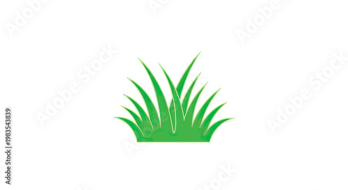 A tuft of bright green grass with pointed blades and a textured look