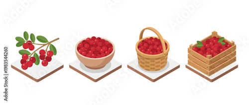 cranberry flat color isometric vector
