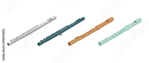 flute flat color isometric vector