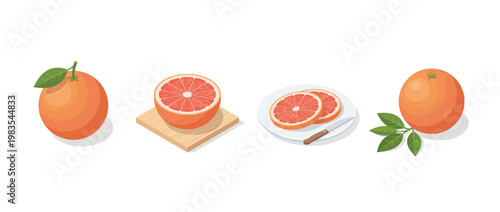 grapefruit flat color isometric vector