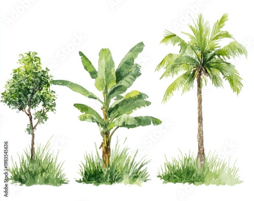 Watercolor trees & grass on white background. Tropical foliage, vibrant greens, artistic style