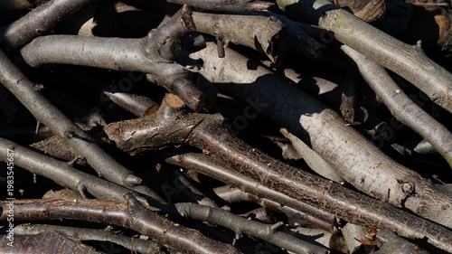 Close-up shot of a stack of pruned wooden branches with textured bark.