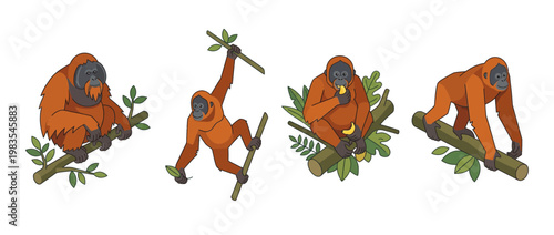 orangutan flat color isometric vector