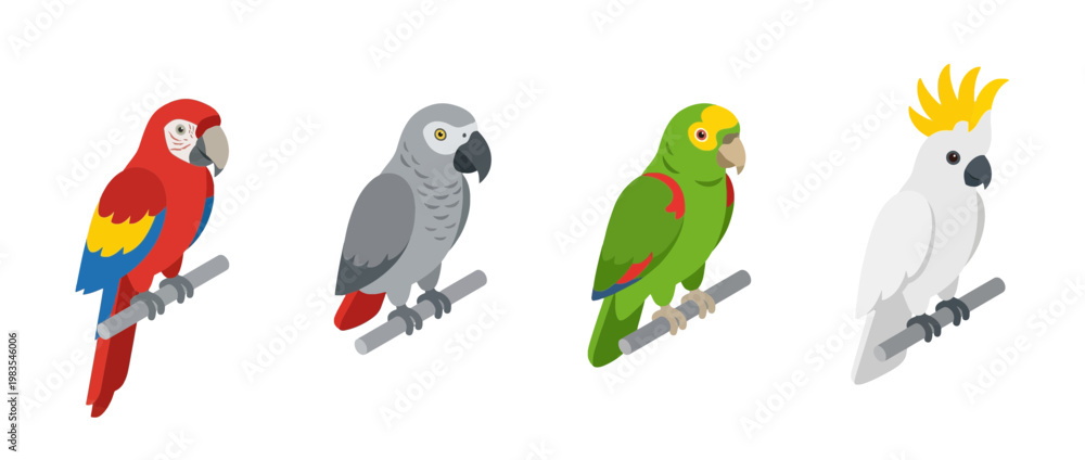 Obraz premium parrot flat color isometric vector