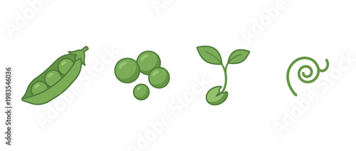 pea flat color isometric vector