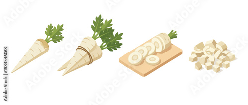 parsnip flat color isometric vector