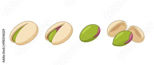 pistachio flat color isometric vector