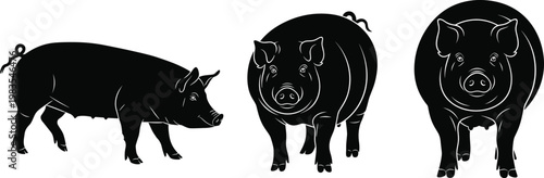 Black pig silhouette illustrations showing side profile and front view farm animal vector art for agriculture and livestock design
