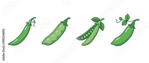 snow pea flat color isometric vector