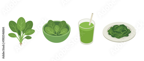 spinach flat color isometric vector