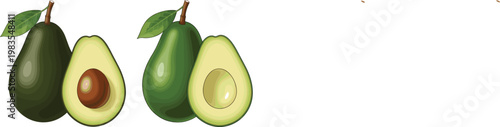 Avocado fruit set whole and half vector illustration fresh healthy food ingredient green organic collection design