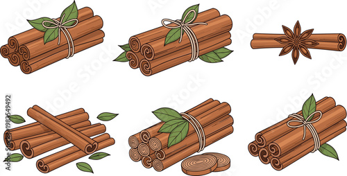 Illustrations of Bundled Cinnamon Sticks with Leaves and Star Anise for Baking, Cooking, and Natural Spice Design Themes