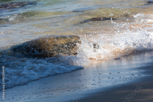 Green seat turtle coming on shore in Maui