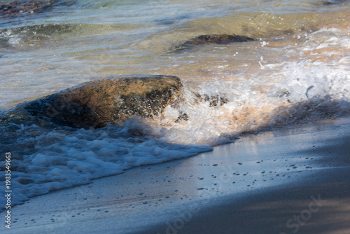 Green seat turtle coming on shore in Maui