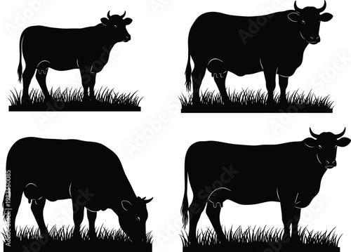 Black cow silhouettes standing and grazing on grass, farm animal vector illustration set for agriculture and design use