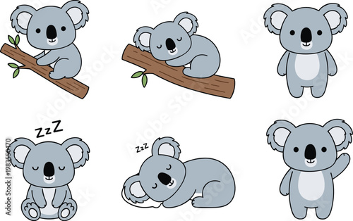 Cute koala characters vector set featuring sleeping sitting and tree branch poses adorable cartoon animals isolated illustration collection