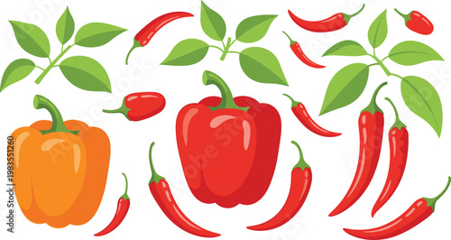Bell pepper and chili set vector illustration fresh vegetables spicy ingredient collection organic food design elements
