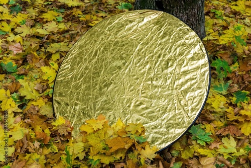 Gold photography reflector placed on fallen autumn leaves in a forest setting, creating a contrast between natural textures and studio equipment.