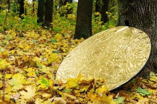 Round golden light reflector lying on colorful autumn foliage near a tree, blending photography gear with a seasonal outdoor scene.
