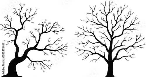 Bare tree silhouettes set, leafless branches collection, winter nature vector illustration design elements