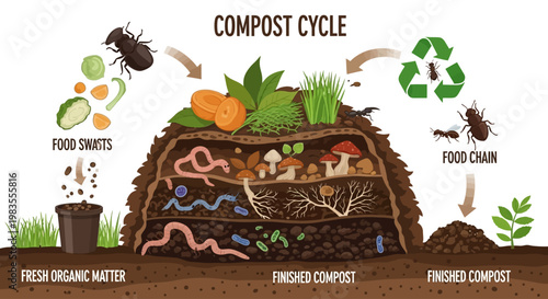 Worms in compost pile ecosystem.