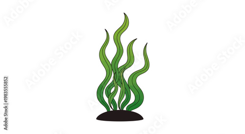 Green seaweed on black base.