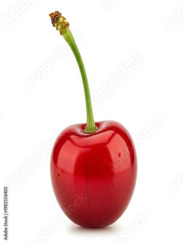 Freshly picked cherry with vibrant red hue and green stem
